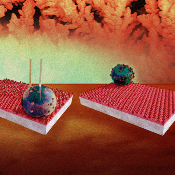 החומר שלא החליט מה הוא אוהב