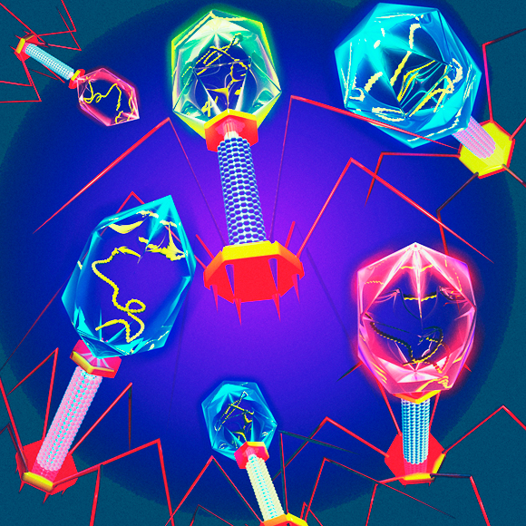 מערכות ההגנה של החיידקים