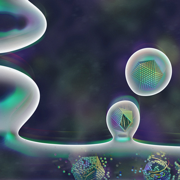 זיכרון ויראלי