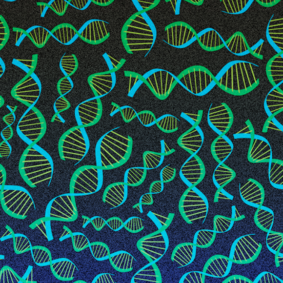 האם אפשר להתאים בני זוג על סמך בדיקה גנטית?