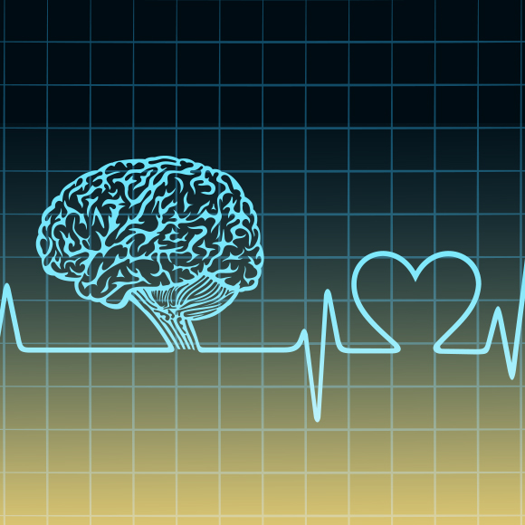 מוח בריא בגוף פעיל