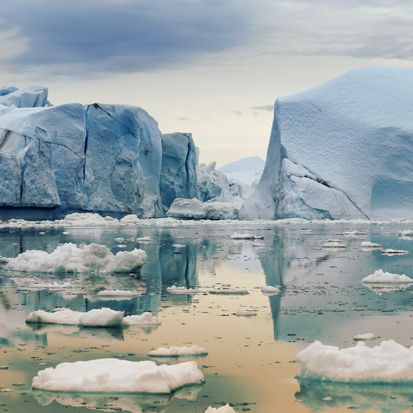 האצות שמפשירות את הקרחונים