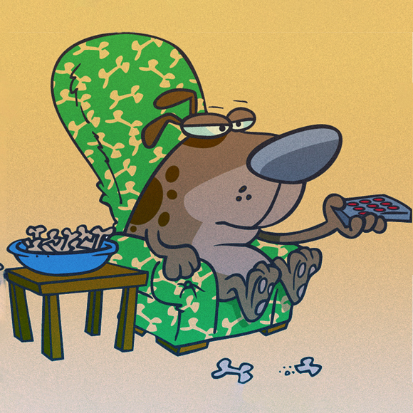 האם כלבים יכולים לצפות בטלוויזיה?