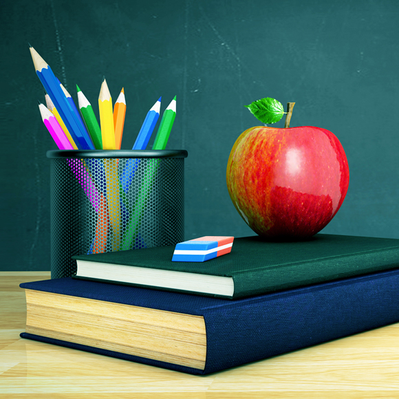 שיקול מקצועי, לא מגדרי