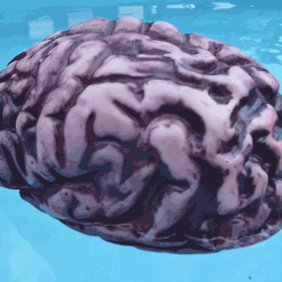 שטיפת מוח – חידון #14