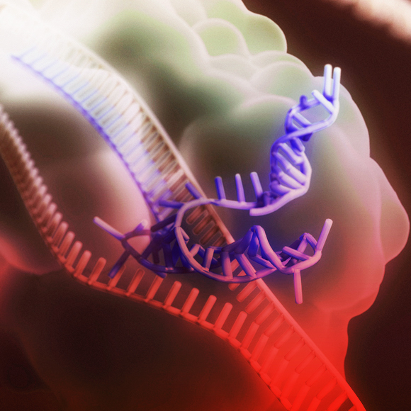 תעלומת הגנים הלא חלבוניים