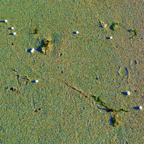 החלקיקים הקטלניים הזורמים אל הים