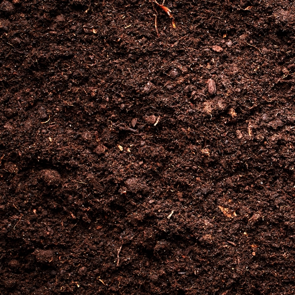 המוציא אנטיביוטיקה מן הארץ