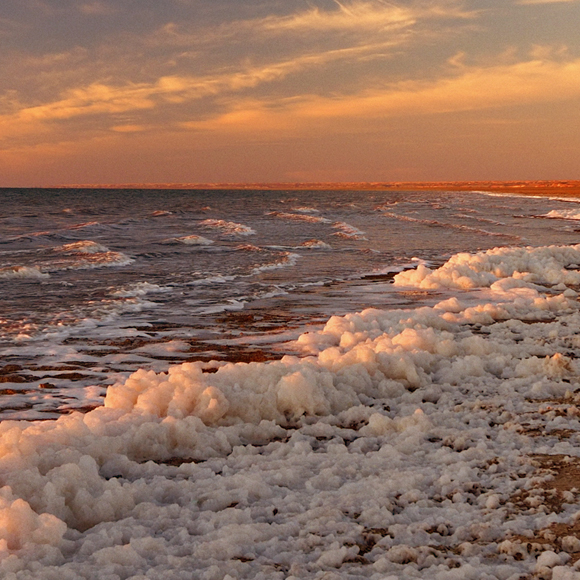 מדוע ימות מלח נעלמות?