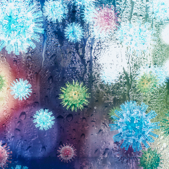 גשם של נגיפים