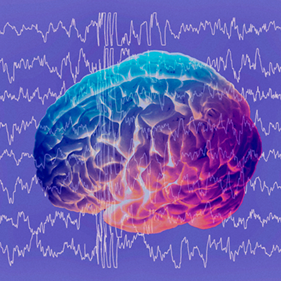 התזמון הנכון של ההצלחה בלימודים