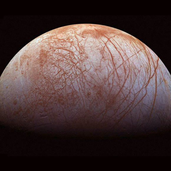 החיידקים שמסתדרים בלי שמש