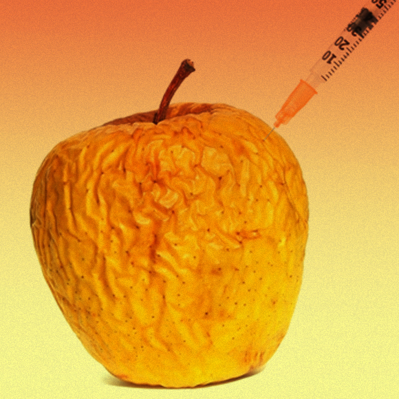 מעיין הנעורים שבדם