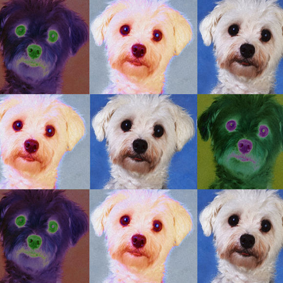 הכלב מת, יחי הכלב החדש!