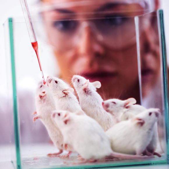 חיסון נגד סרטן