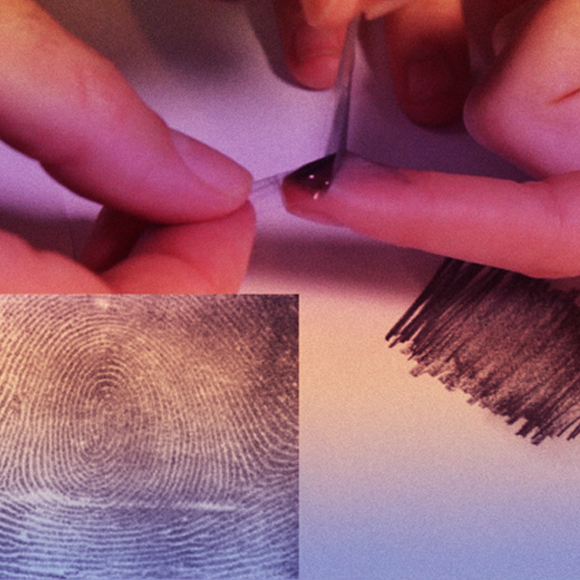 איך לדגום ולראות טביעות אצבע?