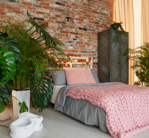 האם מותר לישון עם צמחים בחדר?