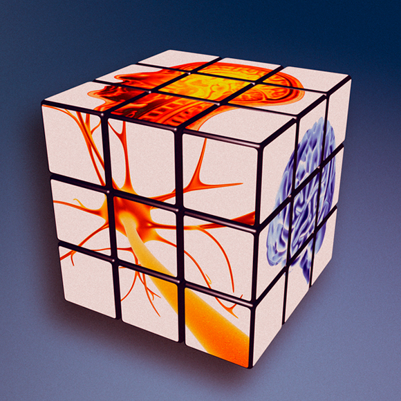 פסטיבל משחקי חשיבה – האתגר הווירטואלי #5