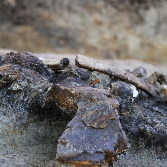 הפיליפינים שהקדימו את זמנם