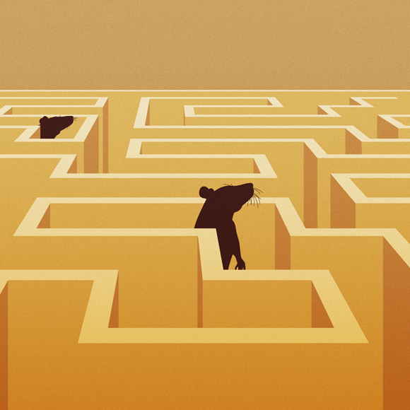 לזכור את רצף האירועים