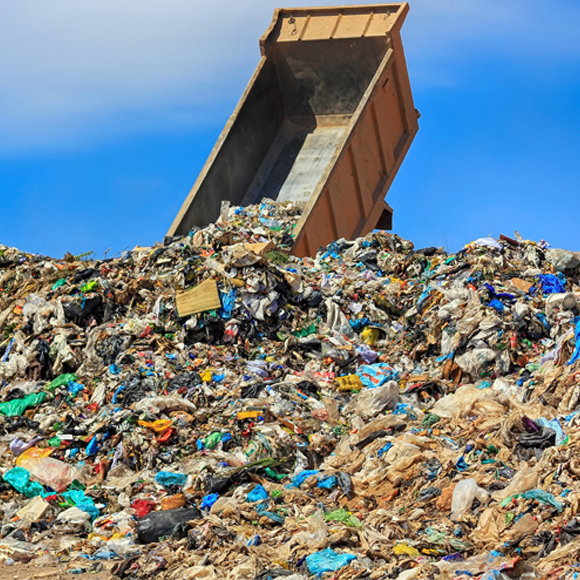 המוטציה שמפרקת פלסטיק