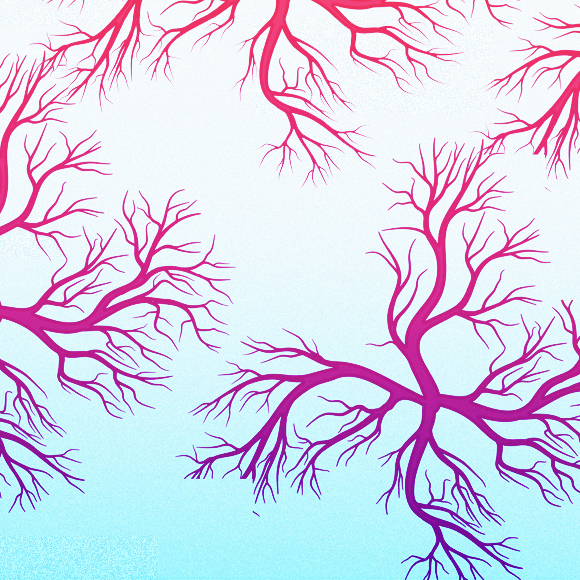 דם כחול – לא רק לאצילים