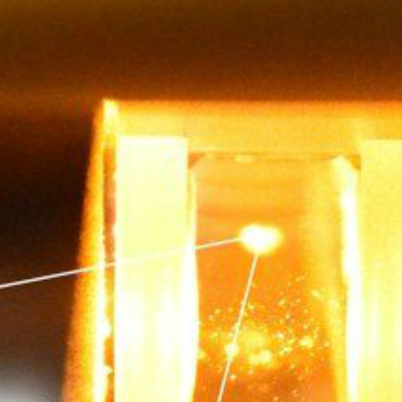 האור שמחבר אותנו