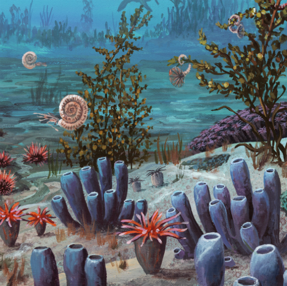 לומדים לחיות ביחד