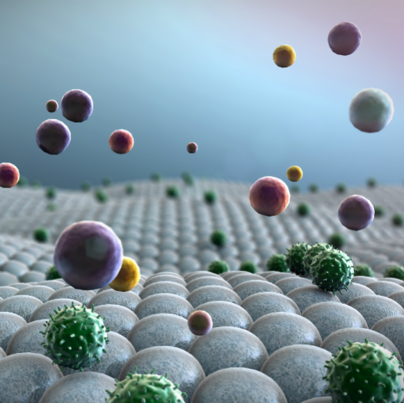 הנתונים הסודיים של מערכת החיסון