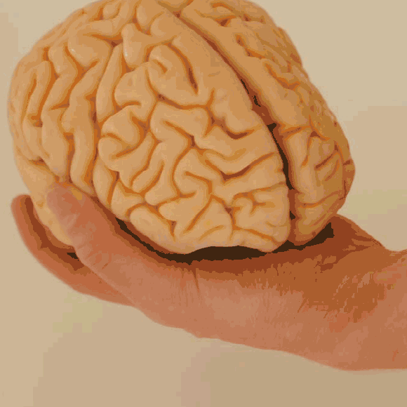 שטיפת מוח – חידון 33