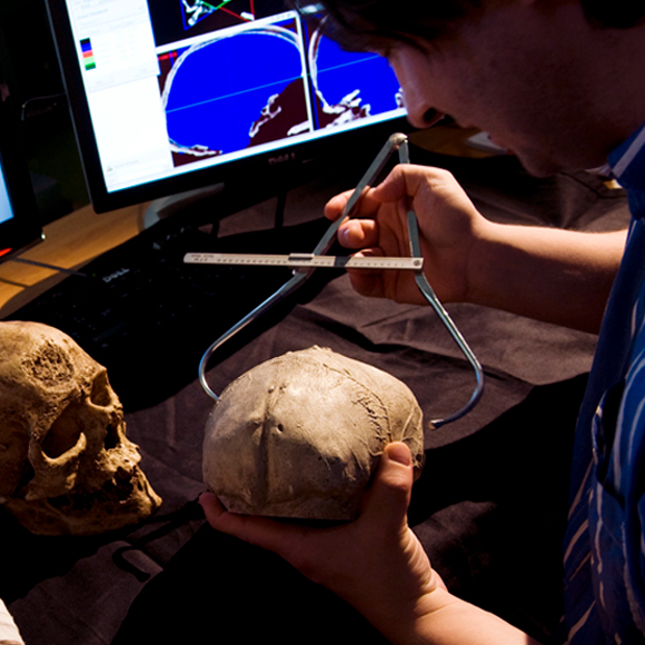 מוצא האדם: יורדים מהעץ