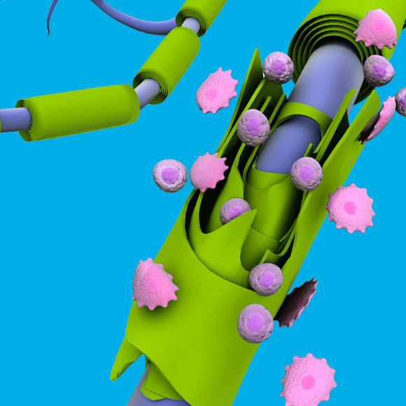 תעלומת המוטציה הנדירה