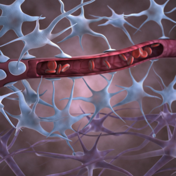 הטיפול שנכנס לראש