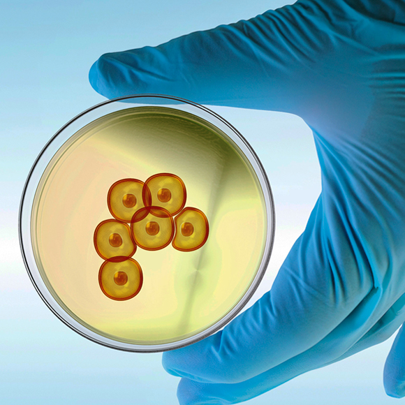 לשנות את מהותם של תאים