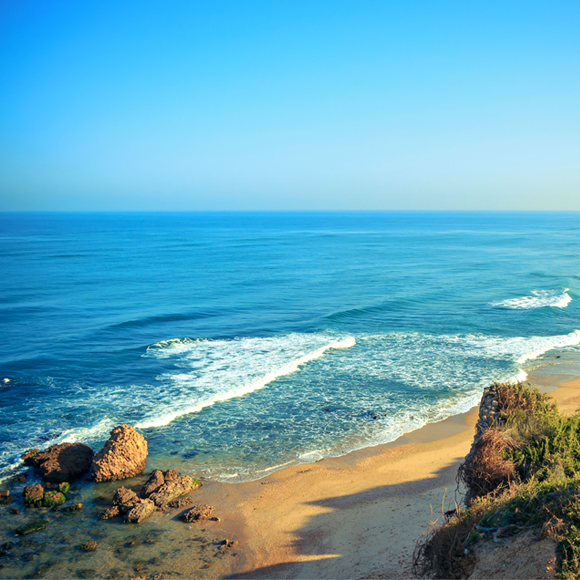 Salt, Sand and Seashells: Science at the Beach