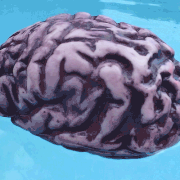 שטיפת מוח – חידון #40