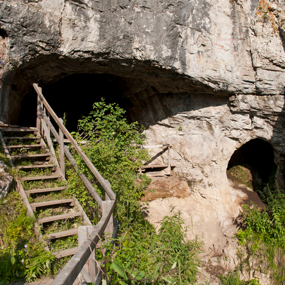 בת התערובת הקדומה מסיביר