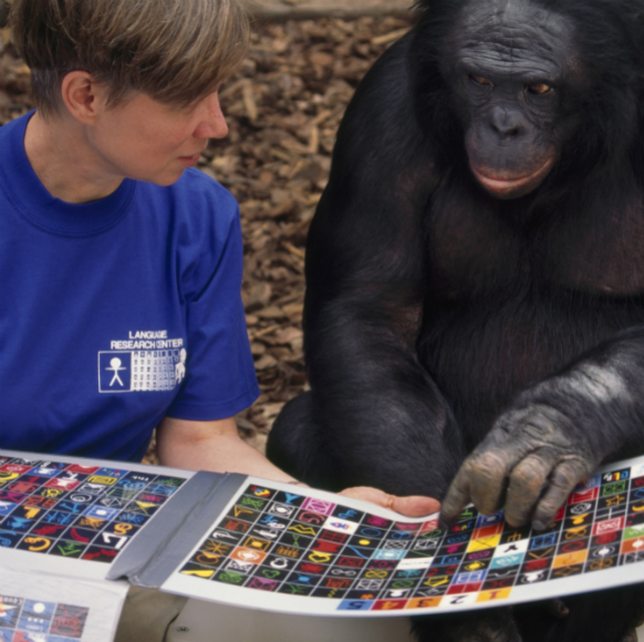 הגֵן של השפה: לא מה שחשבנו