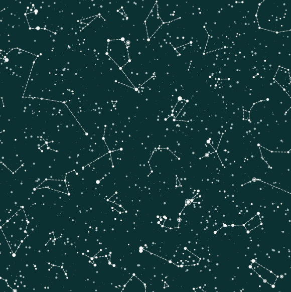 פלנטריום ביתי בצנצנת