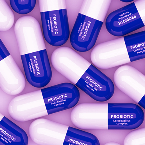 האם פרוביוטיקה משפיעה על המוח?