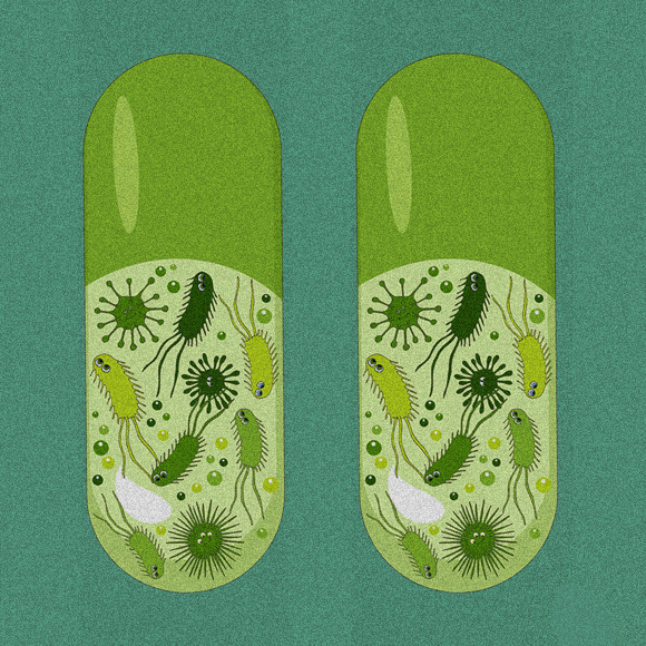 להאכיל את החיידקים הטובים