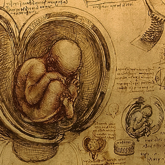 היחסים שלנו עם המין