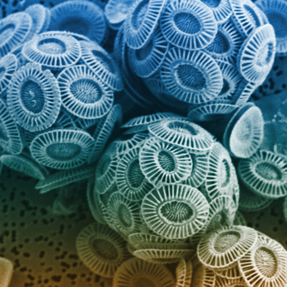 הנגיף שמוריד לנו גשם