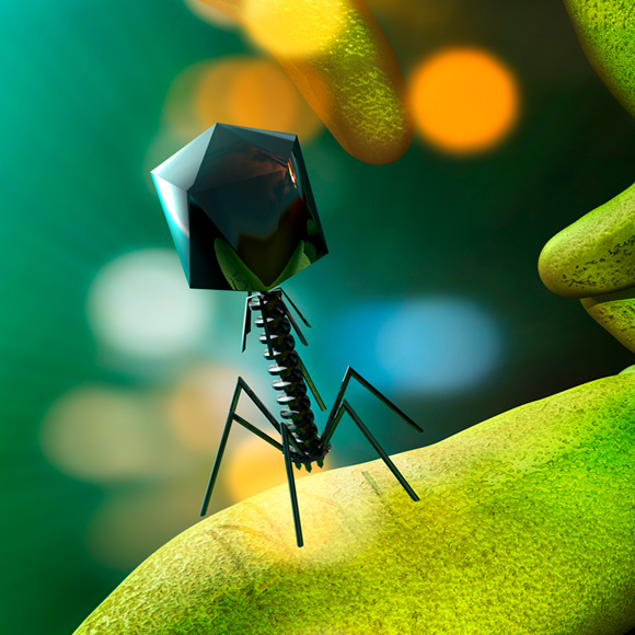 פרס נובל בכימיה: אבולוציה במבחנה