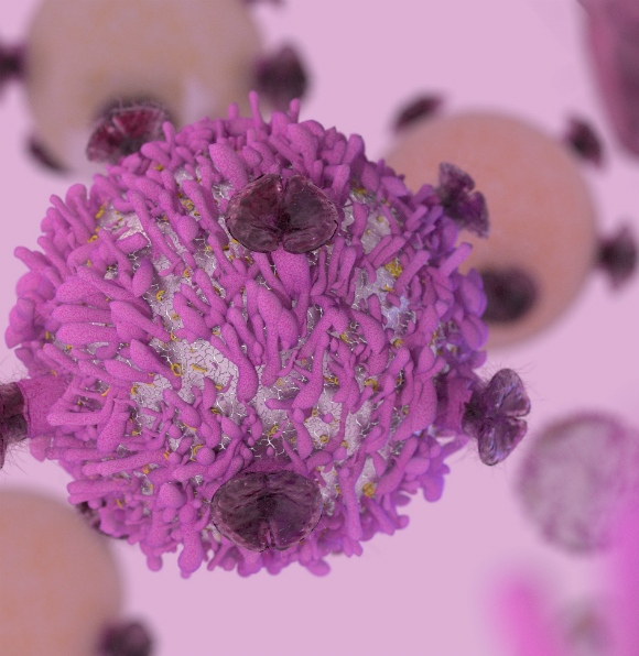 נובל רפואה 2018: מערכת החיסון נגד סרטן