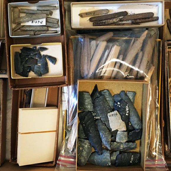 למפות את ה-DNA של אמריקה