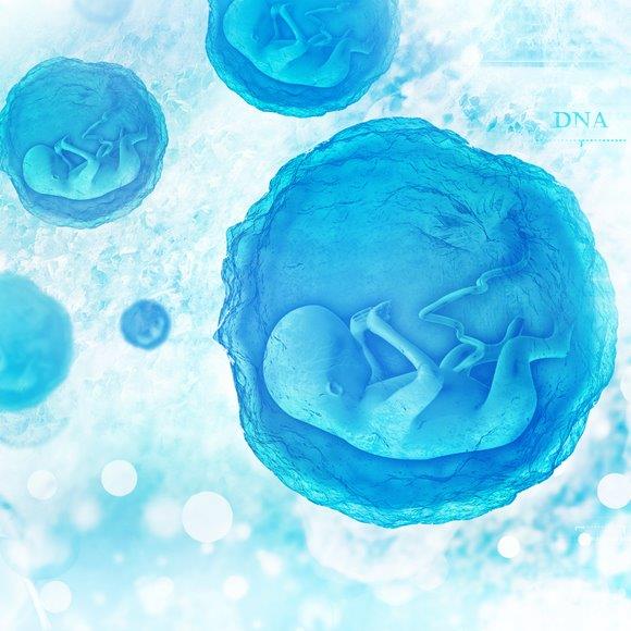 האם מדענים בסין יצרו תינוקות מהונדסים גנטית? אולי