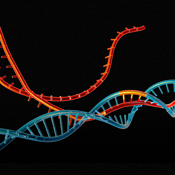 מלחמות הקריספר
