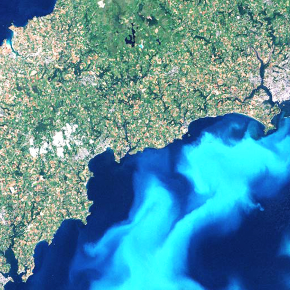 האיום הכפול על מרבדי האצות