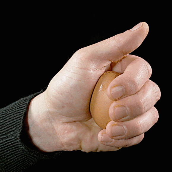 המדע של הביצה הקשה